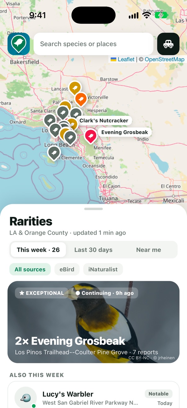 Map of Southern California with coloured bird pins above the Rarities list
