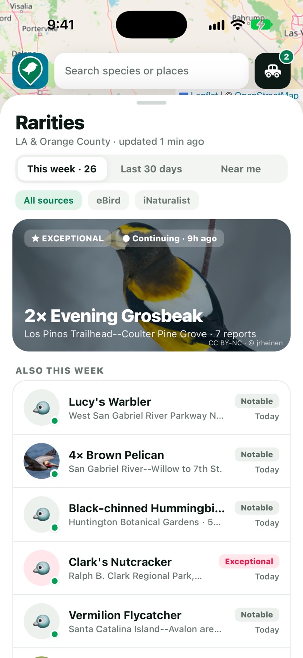 The Rarities list dragged up, showing the Evening Grosbeak card and more birds